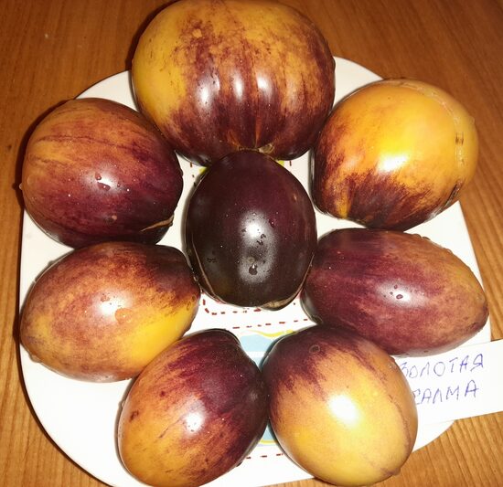 Золотая Чалма